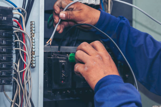 Best Local Electrician Companies  in Cherokee, IA
